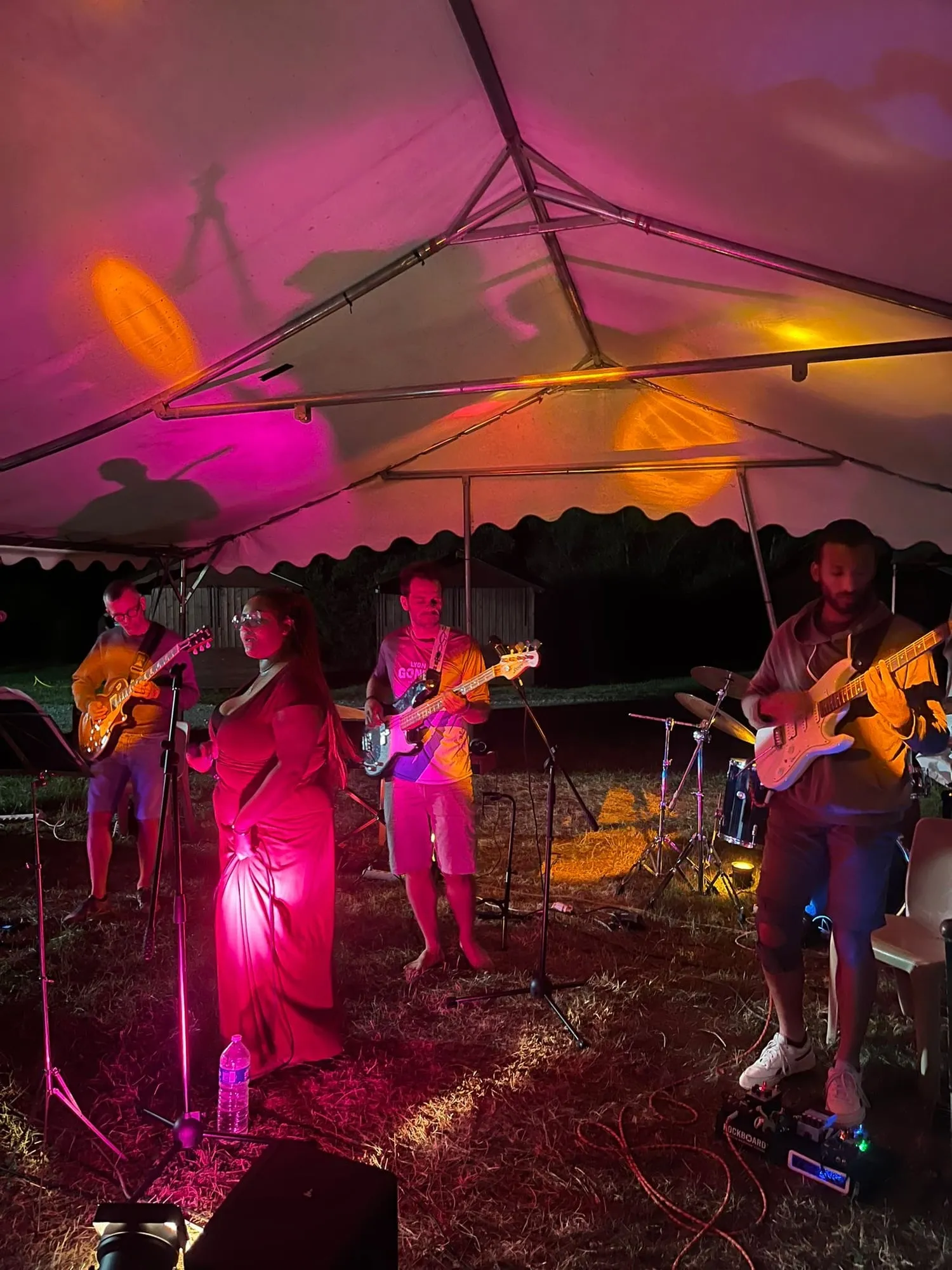 Chant et basse sous les lumières roses